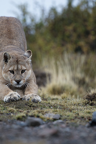 rencontres naturalistes seichamps