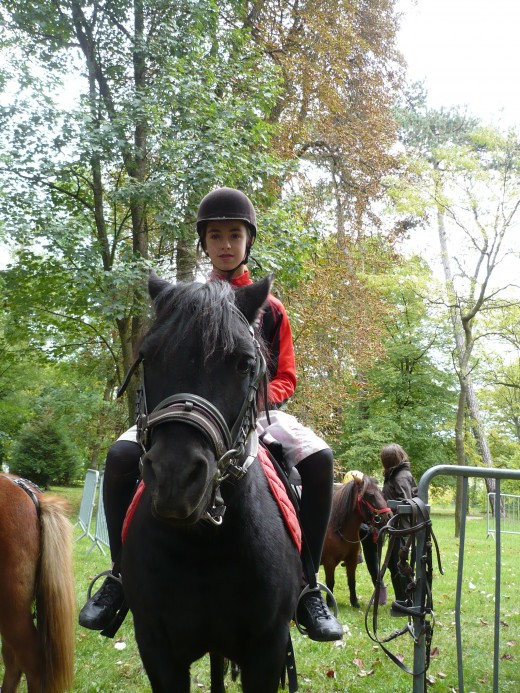 poney equitation (2)
