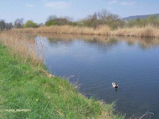 Canal de Jouy_ Crédits FDN57