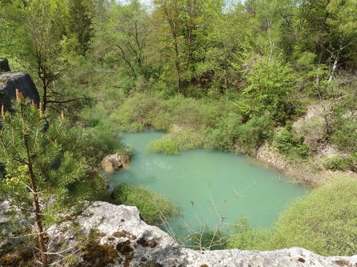 Lac Bleu Lérouville 2 - Crédits APPELS  Protection de la Nature et de l'Environnement