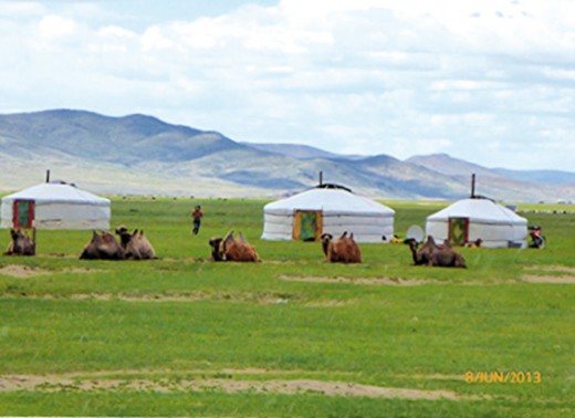 mongolie