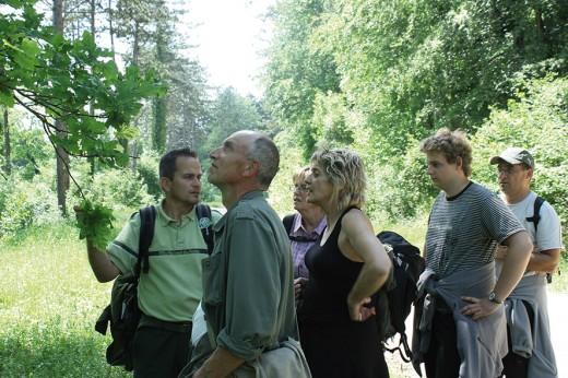 foretdelhistoire crédit - OT PAYS VERDUNOIS