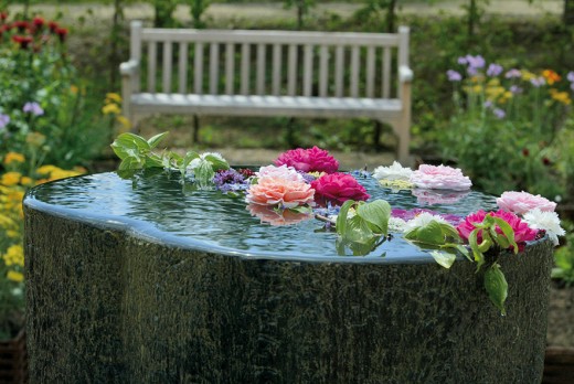 JCK-fontaine_avec_fleurs