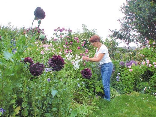 le jardin de Bussy