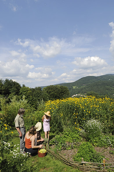 jardin fleuri devant une ferme vosgienne au dessus de Thiefosse F 88 bordure en fascines ferme d altitude habitat disperse vue sur la vallee de la Moselotte en ete PNR Ballons des Vosges