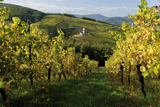 Château du Wineck