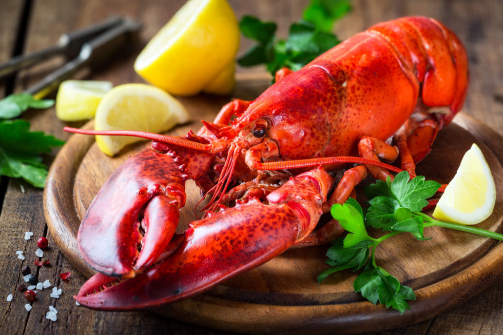 Homard, langouste ou langoustine quelles différences ? Lorraine Magazine