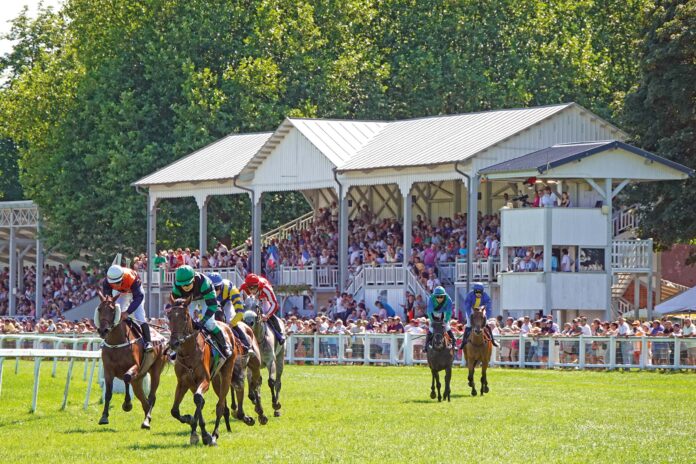 courses 120 hippodrome © Jean-Jacques DALIA - ville de V ittel (116)