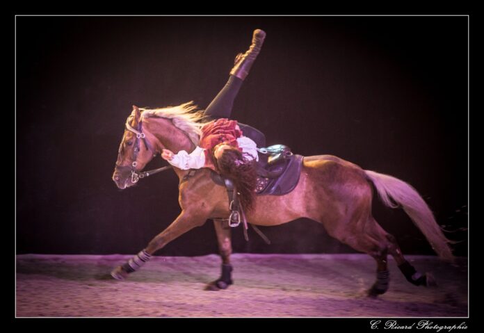 IMG_0343-2-222-BorderMaker