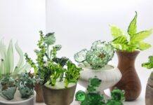 Sculptez votre plante en verre !