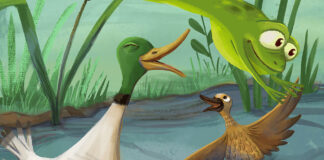 Les Animations au Muséum-Aquarium de Nancy