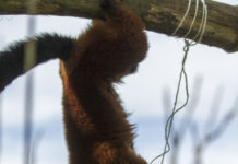 Printemps festif à Sainte-Croix