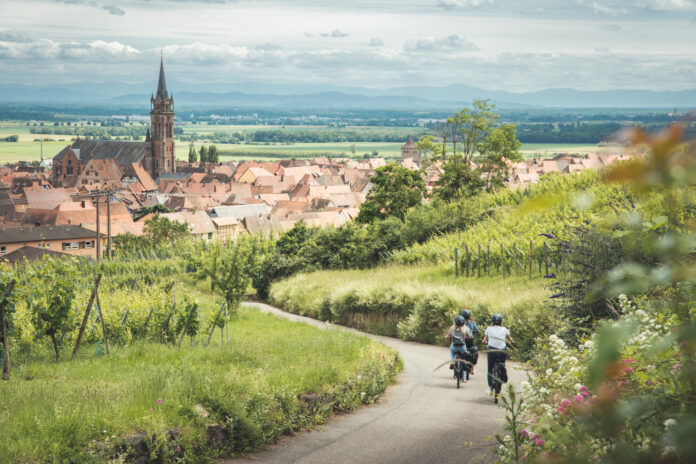 Balade en vélo à Dambach-la-ville_©ART GE - Pierre Defontaine