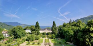 Cet été, le Festival des Jardins Métissés célèbre l’Odyssée d’Ulysse