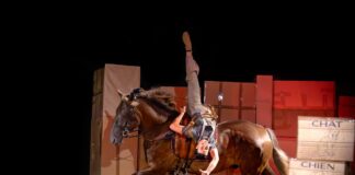 Scènes en Selle : quand le cheval reprend la ville