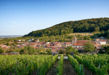 Le Toulois, terroir à vivre