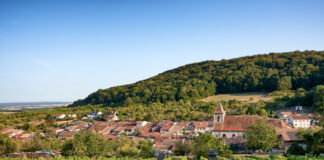 Le Toulois, terroir à vivre