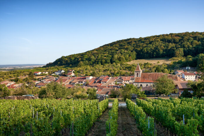 Lucey ©Christopher Arnoldi - Terroir Moselle (4)