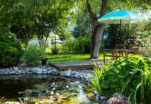 Créer un vrai coin de fraîcheur naturelle dans le jardin